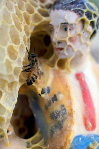 Artist Aganetha Dyck Collaborates with Bees